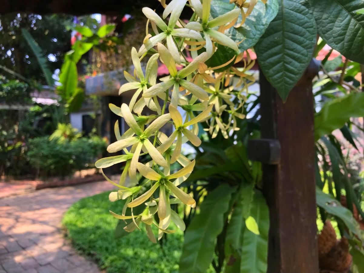 Moradok Thai Guesthouse Аюттхая Екстер'єр фото
